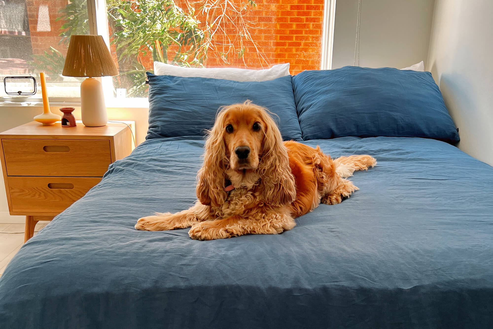 How Often Should You Replace Your Sheets? (Hint: It Depends on the Fabric)