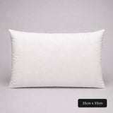 Cushion Insert Duck Feather