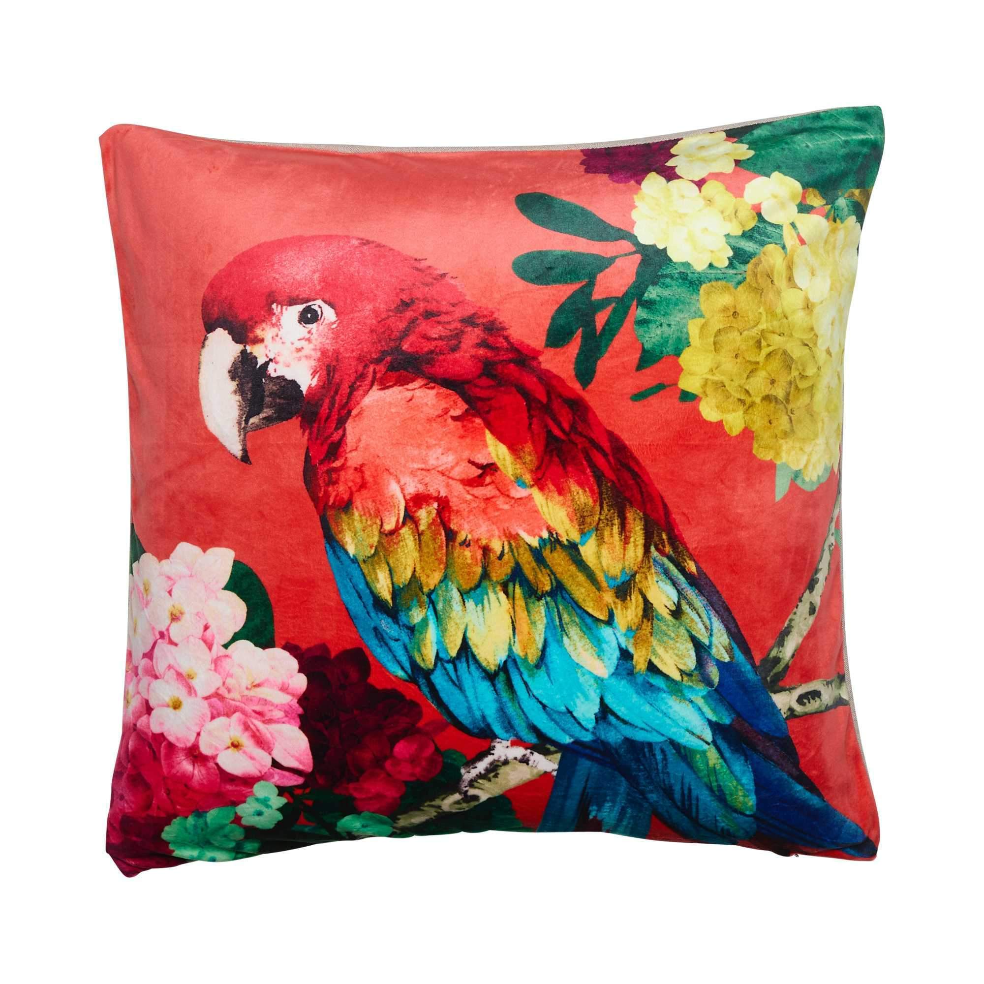 Chintz Parrot Square 50x50cm Velvet Cushion Cover